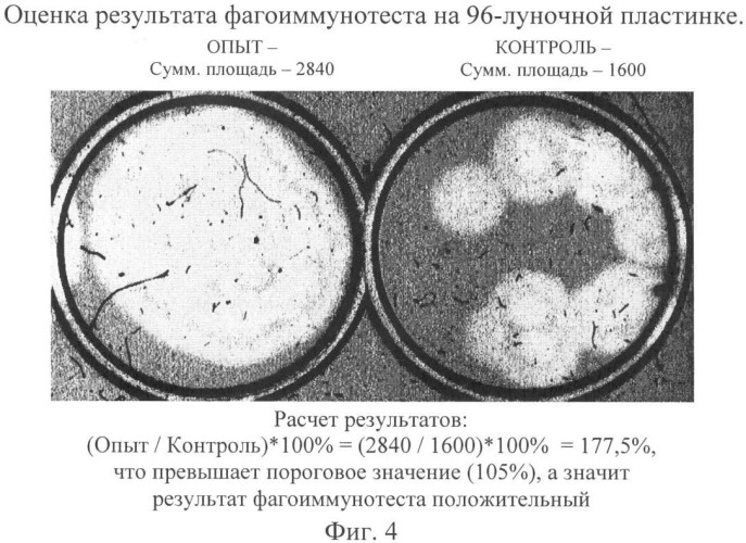 Способ оценки результатов фагоиммунотеста (патент 2347225)