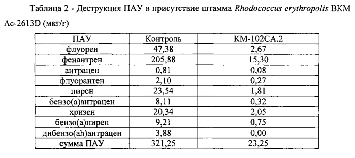 Штамм rhodococcus erythropolis для очистки солоноватоводных и морских экосистем от нефти и нефтепродуктов (патент 2553336)