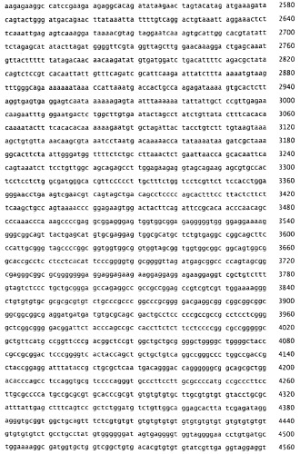 Применение s1p (патент 2362565)