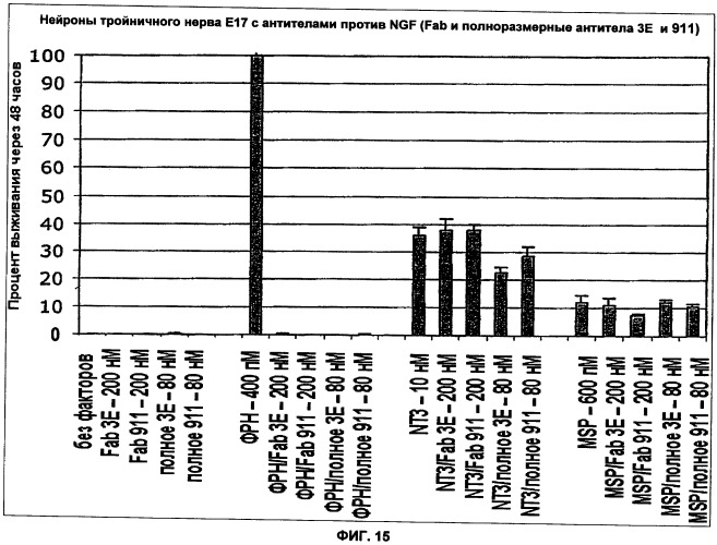 Способы лечения боли, вызванной остеоартритом, путем введения антагониста фактора роста нервов и содержащих его композиций (патент 2429013)