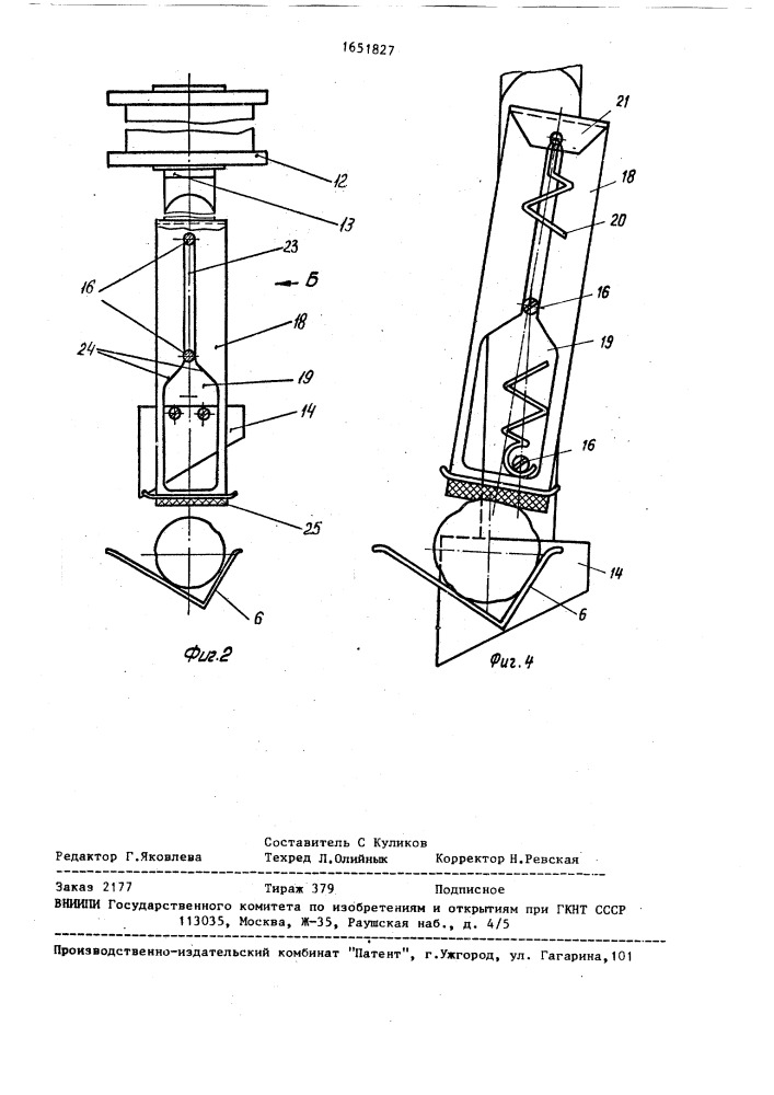 Машина для обрезки концов моркови (патент 1651827)