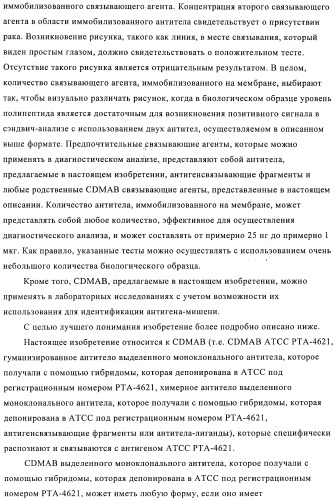 Химерные и гуманизированные антитела к cd44, которые опосредствуют цитотоксичность в отношении раковых клеток (патент 2487723)
