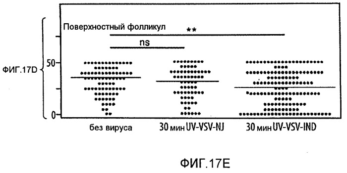 Нацеливание на антигенпрезентирующие клетки иммунонанотерапевтических средств (патент 2497542)