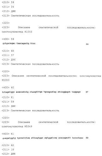 Молекулы антител, обладающие специфичностью в отношении фактора некроза альфа опухоли человека, и их применение (патент 2303604)