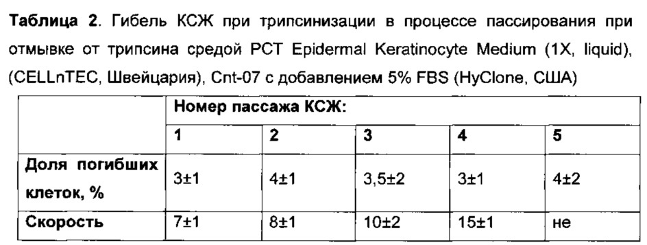 Способ культивирования клеток слюнной железы человека (патент 2631005)