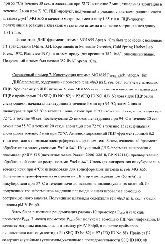 Бактерия семейства enterobacteriaceae - продуцент l-аспарагиновой кислоты или метаболитов, производных l-аспарагиновой кислоты, и способ получения l-аспарагиновой кислоты или метаблитов, производных l-аспарагиновой кислоты (патент 2472853)