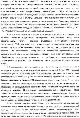 Способ идентификации соединений, взаимодействующих с трансмембранными белками (патент 2326166)