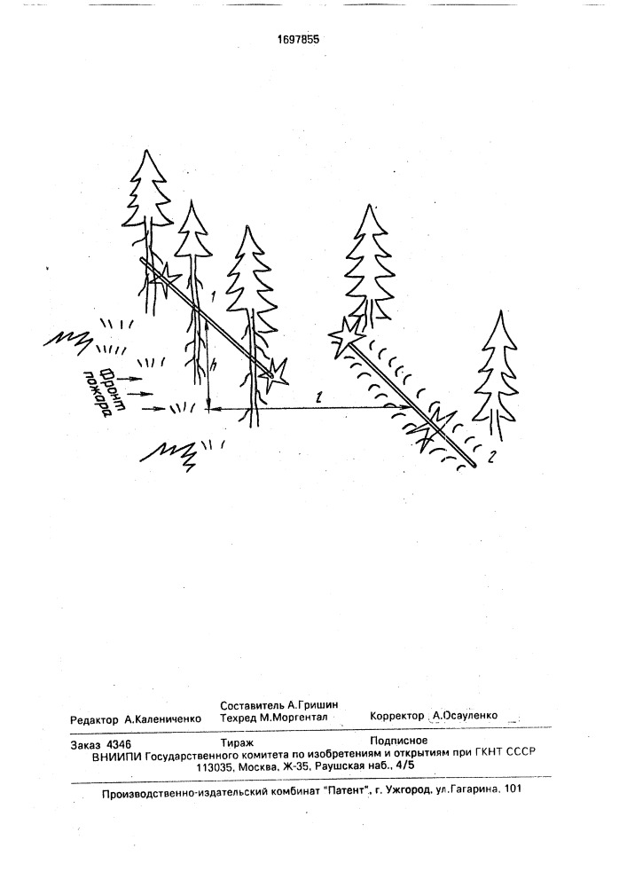 Способ предотвращения перехода низового лесного пожара в верховой (патент 1697855)