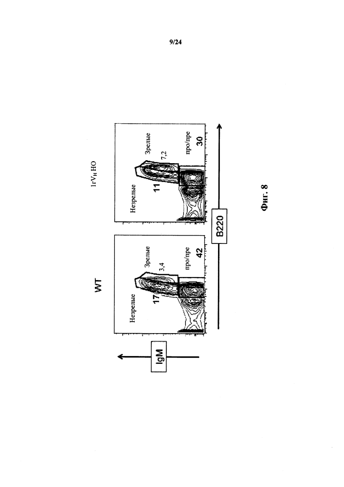 Мыши с ограниченной тяжелой цепью иммуноглобулина (патент 2603090)