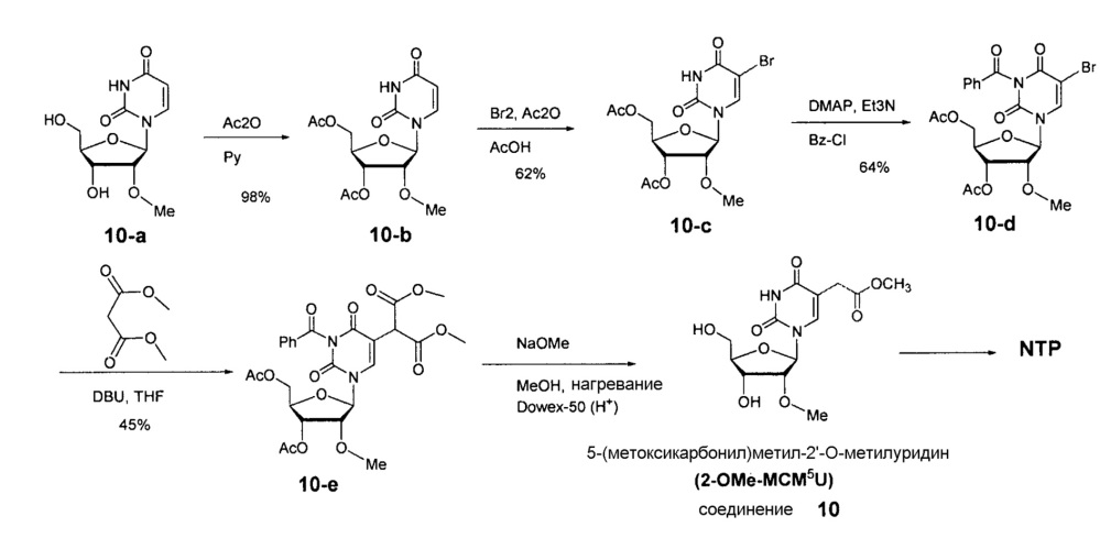 Модифицированные нуклеозиды, нуклеотиды и нуклеиновые кислоты и их применение (патент 2648950)