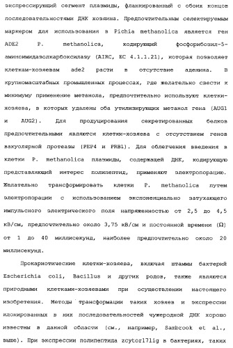 Новый лиганд рецептора цитокина zcytor17 (патент 2360923)