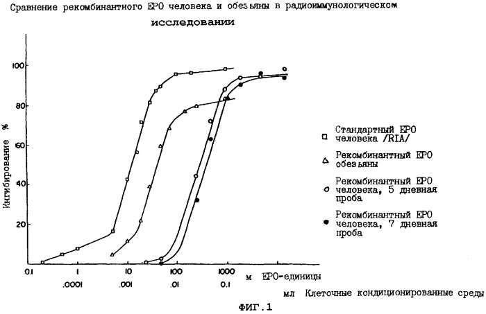 Выделенная молекула днк, кодирующая эритропоэтин человека, (варианты), экспрессирующий плазмидный или вирусный днк-вектор, гликопротеид эритропоэтин (варианты) и способ его получения, фармацевтическая композиция (варианты), линия клеток млекопитающего (варианты) (патент 2261276)