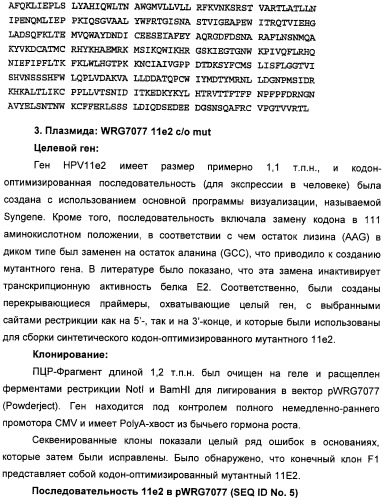 Полинуклеотидная последовательность, кодирующая полипептид вируса папилломы человека, ее применение, а также содержащие ее вектор и фармацевтическая композиция (патент 2354701)