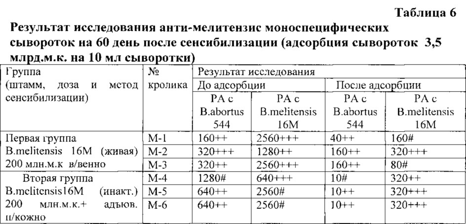 Способ получения бруцеллёзной моноспецифической сыворотки anti-melitensis (патент 2613901)