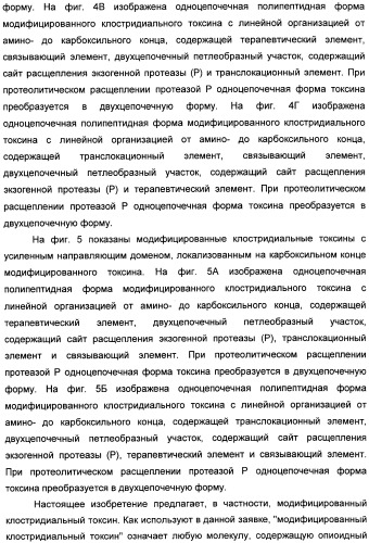 Способы лечения мочеполовых-неврологических расстройств с использованием модифицированных клостридиальных токсинов (патент 2491086)