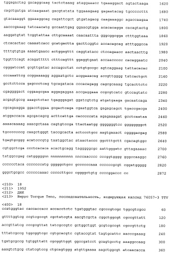 Выделенная полинуклеотидная молекула, кодирующая вирус torque teno, молекула рнк и вектор экспрессии (патент 2502801)