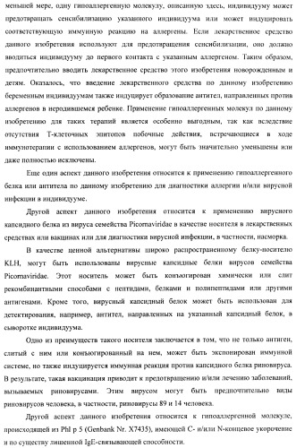 Гипоаллергенный слитый белок, молекула нуклеиновой кислоты, кодирующая его, вектор экспрессии, клетка-хозяин, вакцинная композиция и его применение (патент 2486206)