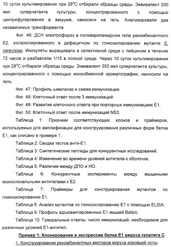 Очищенные белки оболочки вируса гепатита с для диагностического и терапевтического применения (патент 2313363)