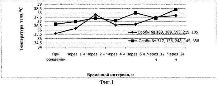 Способ определения жизнеспособности новорожденных поросят (патент 2555550)