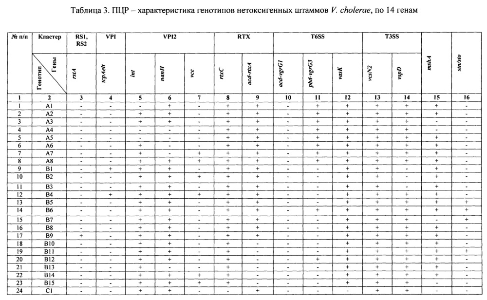 Способ идентификации нетоксигенных штаммов холерных вибрионов о1 серогруппы с помощью пцр для выделения генетических детерминант (патент 2665542)