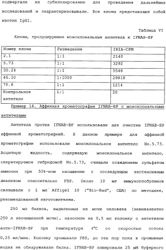 Белок ifnab-bpi, его предшественник, молекула днк, экспрессирующий вектор, способ продуцирования, фармацевтическая композиция для ингибирования активности ifn-  или ifn-  (патент 2336279)