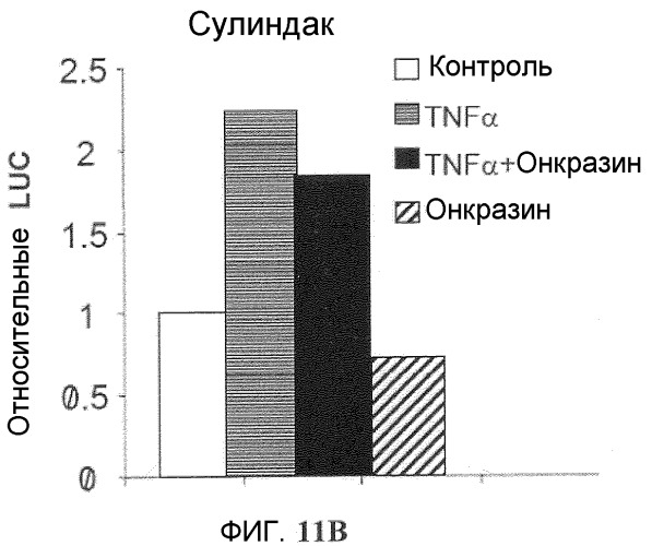 Онкогенное ras-специфичное цитотоксическое соединение и способы его применения (патент 2448703)