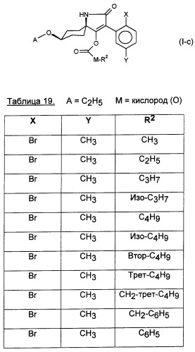 Цис-алкоксизамещенные спироциклические производные 1-h- пирролидин-2, 4-диона в качестве средств защиты от вредителей (патент 2340601)