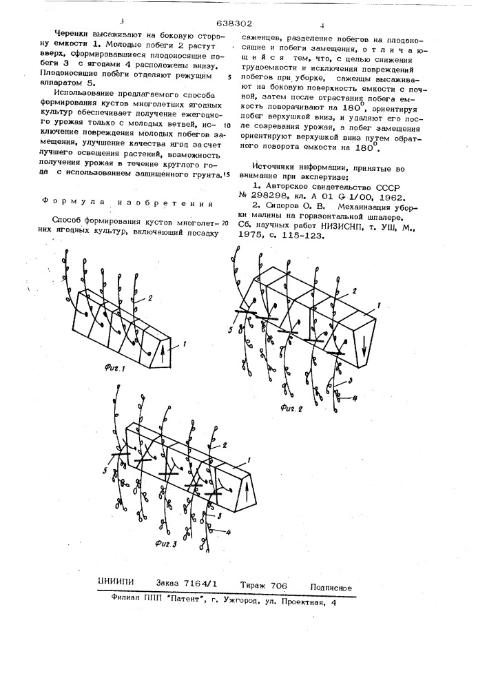 Способ формирования кустов многолетних ягодных культур (патент 638302)