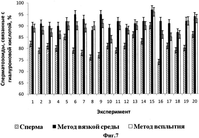 Способ селекции сперматозоидов для экстракорпорального оплодотворения (патент 2535359)