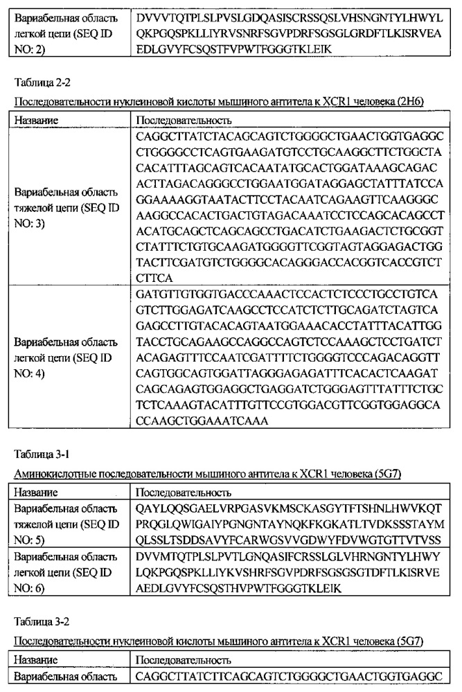 Антитела к xcr1 человека (патент 2619180)