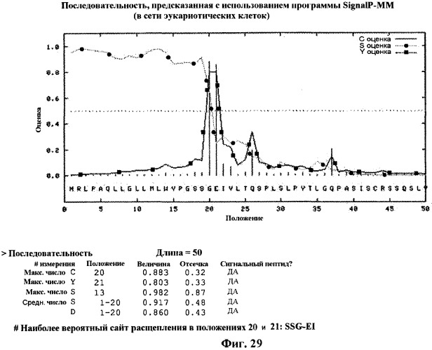 Антитела против вируса гепатита с (патент 2462475)