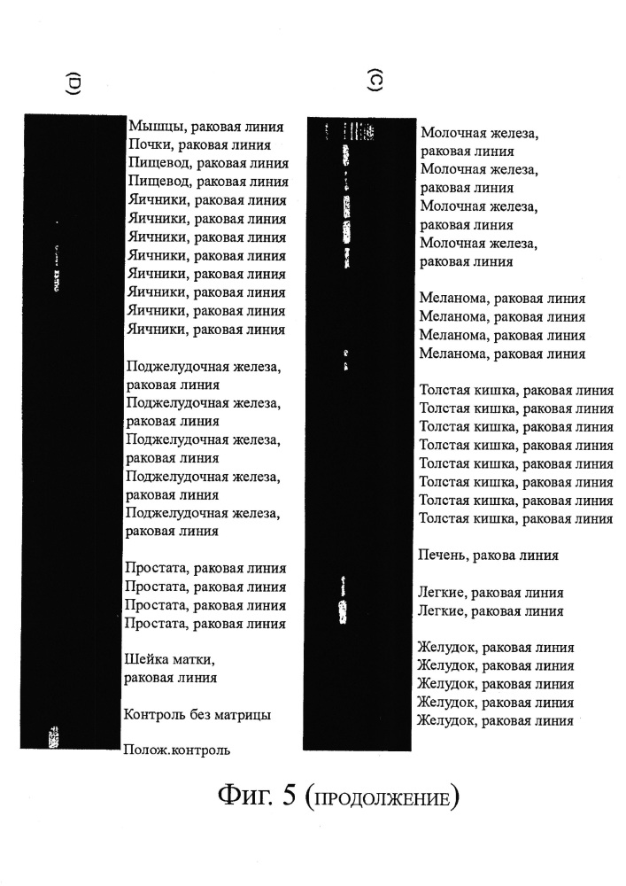 Идентификация опухолеассоциированных антигенов для диагностики и терапии (патент 2644686)