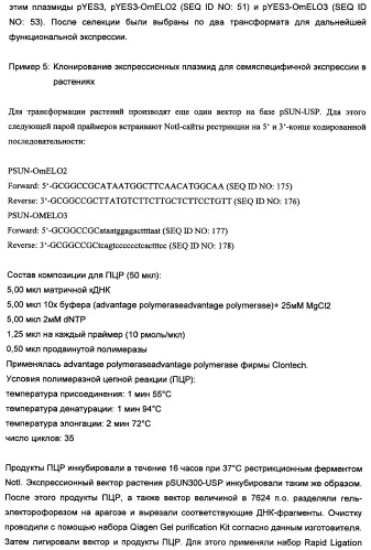 Способ получения полиненасыщенных кислот жирного ряда в трансгенных организмах (патент 2447147)