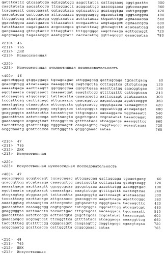 Нелипидизированные варианты антигенов neisseria meningitidis orf2086 (патент 2546873)