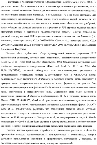 Изолированные полипептиды, кодирующие их полинуклеотиды, экспрессирующие их трансгенные растения и способы их использования (патент 2487166)