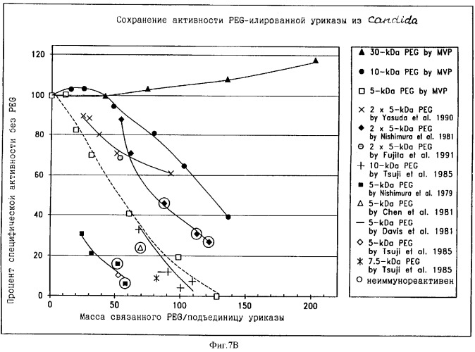 Свободная от агрегатов уратоксидаза для приготовления неиммуногенных полимерных конъюгатов (патент 2352354)