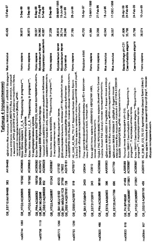 Гены corynebacterium glutamicum, кодирующие белки, участвующие в гомеостазе и адаптации (патент 2304616)