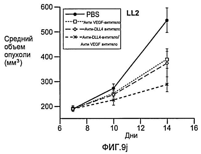 Антитела против dll4 и способы их применения (патент 2415869)