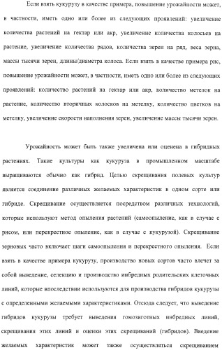 Растения с повышенной урожайностью и способ их получения (патент 2377306)