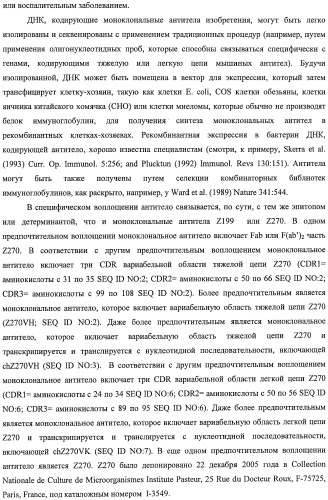 Моноклональные антитела против nkg2a (патент 2481356)