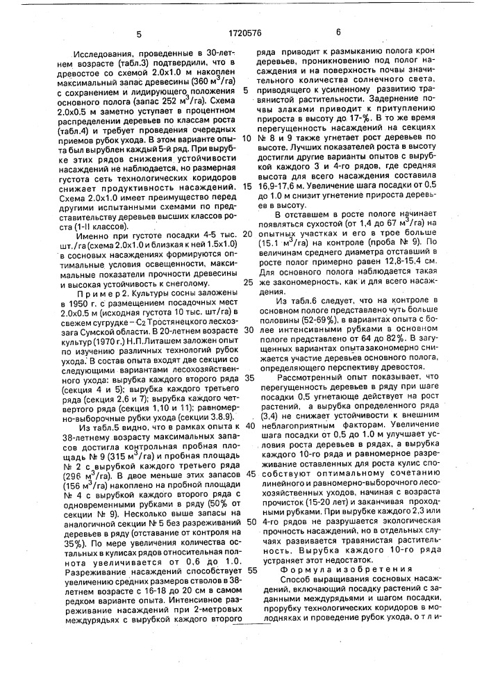 Способ выращивания сосновых насаждений (патент 1720576)