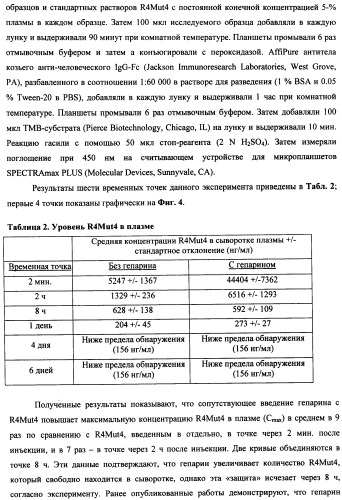 Мутеины кислотной зоны внеклеточного домена рецептора фактора роста фибробластов (патент 2509774)