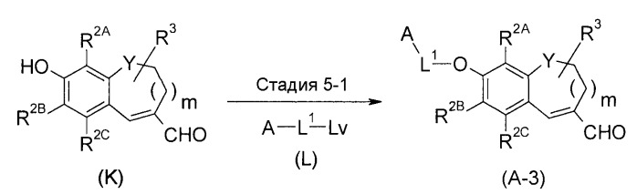 Соединение 2н-хромена и его производное (патент 2490266)