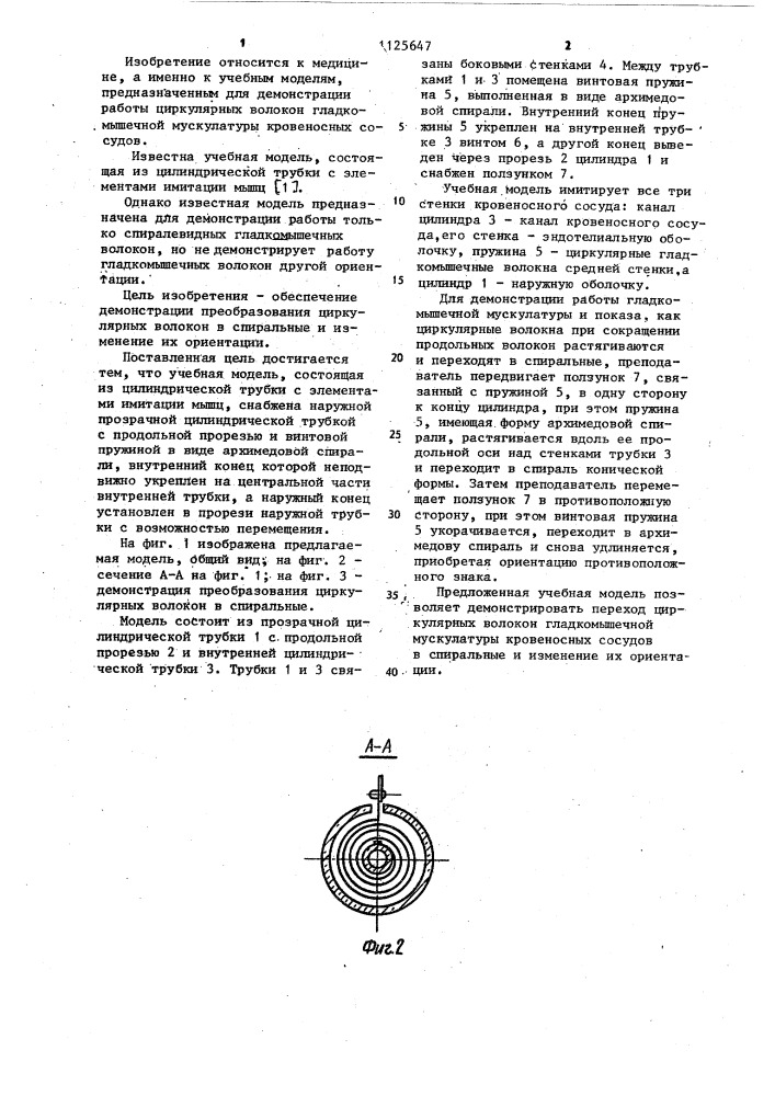 Учебная модель (патент 1125647)