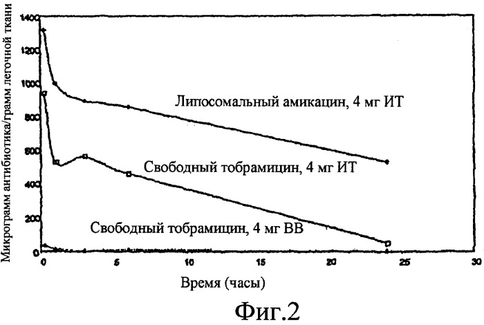 Замедленное высвобождение противоинфекционных агентов (патент 2438655)