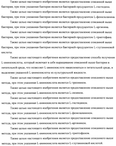 Способ получения l-аминокислот с использованием бактерии, принадлежащей к роду escherichia (патент 2312893)