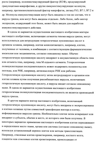 Способы и композиции для экспрессии антисмысловой вирусной рнк в клетках собаки (патент 2457250)