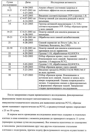 Поливалентные иммуногенные композиции pcv2 и способы получения таких композиций (патент 2488407)