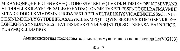 Нуклеотидная последовательность, кодирующая иммуногенный полипептид lcrv(g113), вызывающий защитный иммунный ответ против yersinia pestis; рекомбинантная плазмидная днк petv-i-3455, кодирующая иммуногенный полипептид lcrv(g113); рекомбинантный штамм escherichia coli bl21(de3)/petv-i-3455 - продуцент иммуногенного полипептида lcrv(g113); полипептид lcrv(g113) и способ его получения (патент 2439155)