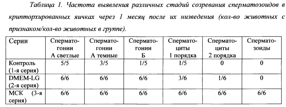 Способ стимуляции сперматогенеза (патент 2653779)